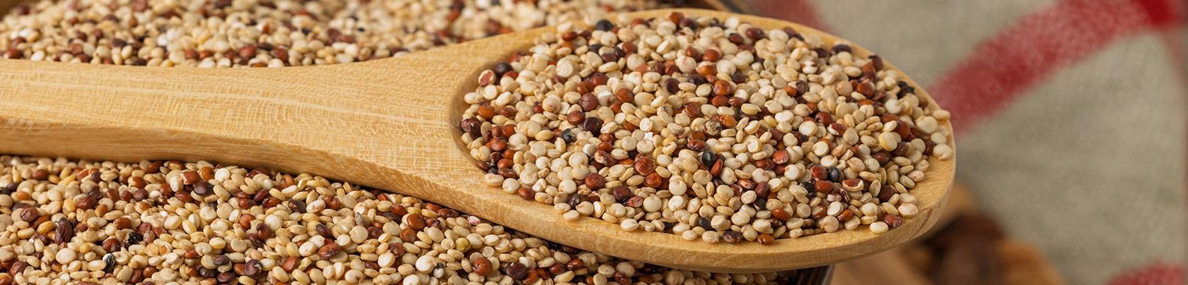 Cos'è la quinoa, le sue proprietà, benefici e come cucinarla