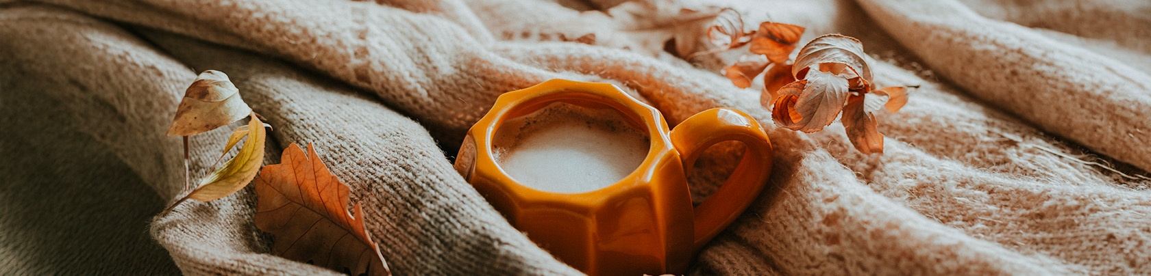 5 Bevande autunnali da fare in casa