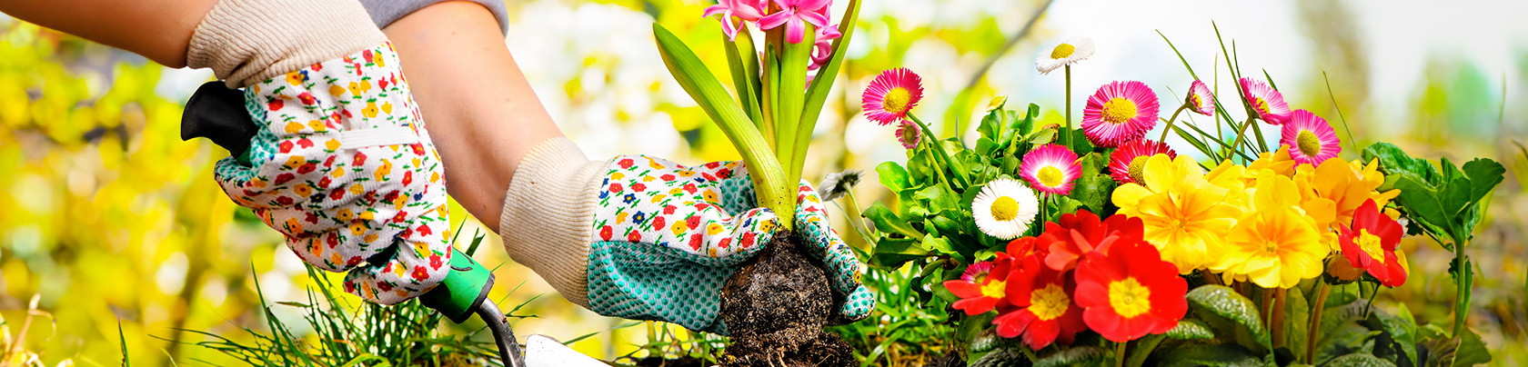 Come fare giardinaggio: la guida per iniziare