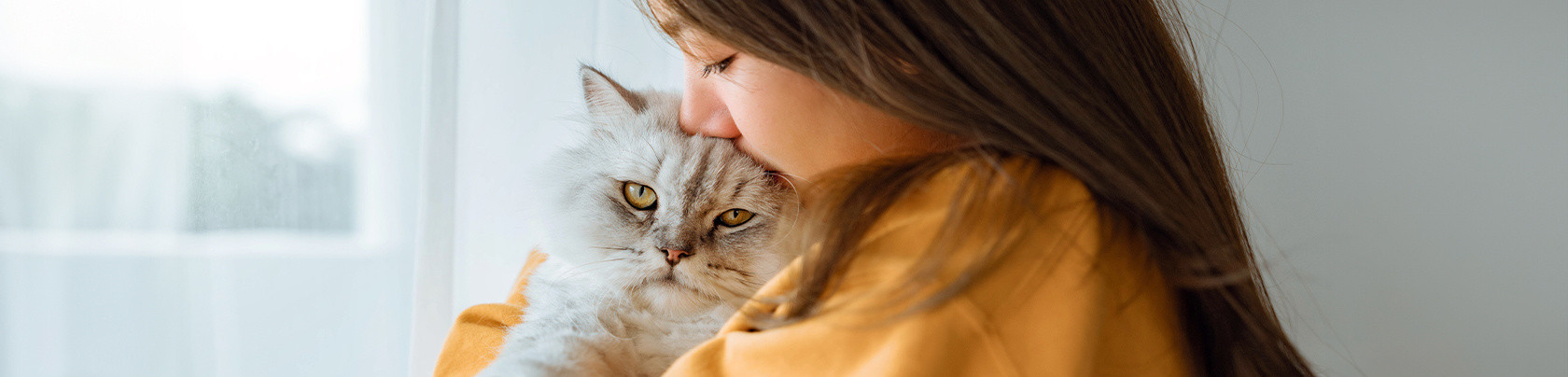 Cosa comprare quando si prende un gatto: tutto l’occorrente per il tuo micio