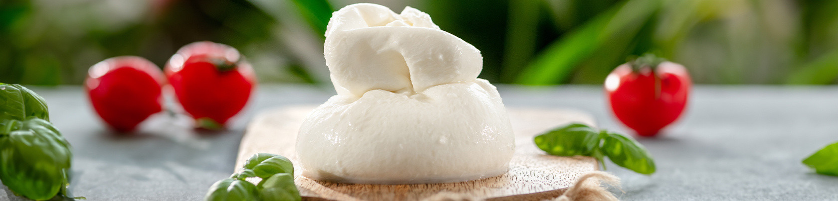 5 ricette con la mozzarella di bufala perfette per l’estate