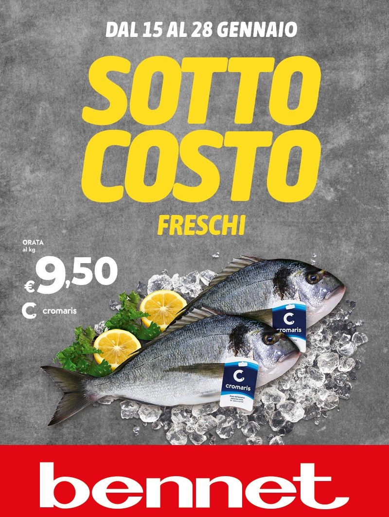 SOTTOCOSTO FRESCHI