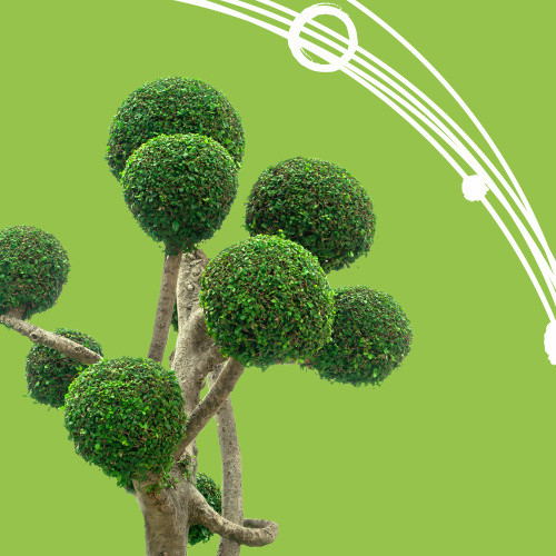 Natura da amare