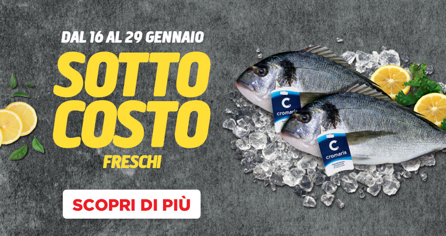 SOTTOCOSTO FRESCHI