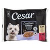 Cibo Umido Per Cani Delizie Del Giorno Senior Conf. Da 4 Cesar