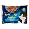 FELIX SEN.JEL.PESCI X4