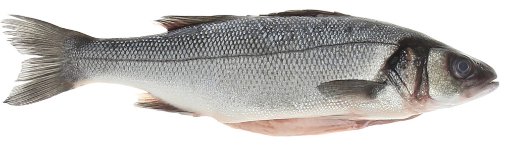 Branzino Eviscerato - Foto 1