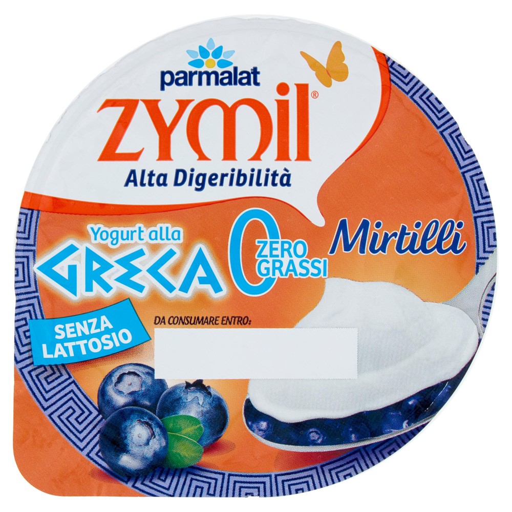 Yogurt Mirtillo Greco Zymil - Foto 1