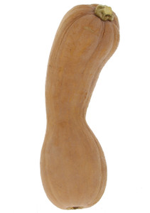 Zucca Violina (butternut) - Foto 1