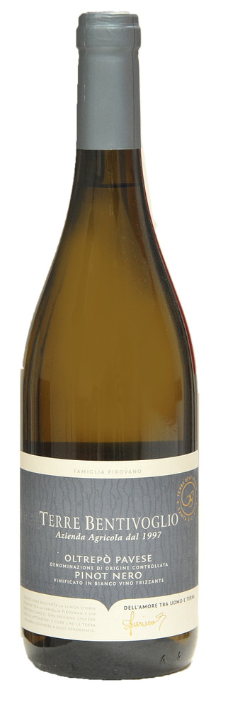Pinot Nero Frizzante Terre Bentivoglio - Foto 1