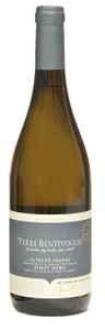 Pinot Nero Frizzante Terre Bentivoglio - Foto 1