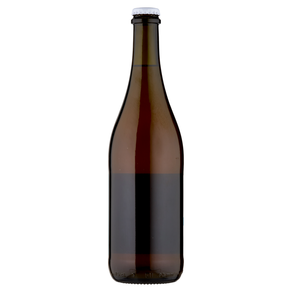 Birra Artigianale Agricola Ipa 4,7% Ticinensis - Foto 3