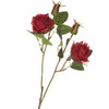 Rosa A Ramo Rosso