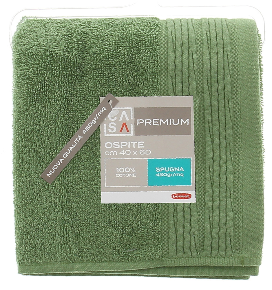 Ospite Spugna Cm40x60 Bordo A Rilievo Verde Casa Premium - Foto 1