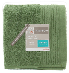 Ospite Spugna Cm40x60 Bordo A Rilievo Verde Casa Premium - Foto 1