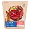 ONE MY DOG IS ADULT - Foto 1 di 3