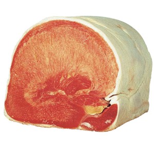 Lingua Cotta - Foto 2