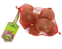 Scalogno Bio