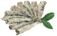 Sardina Salata