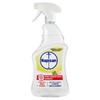 Spray Multisuperficie Al Limone Napisan