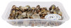 Vongole Veraci Cotte Al Naturale
