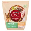 ONE MY DOG IS ACTIVE - Foto 1 di 3