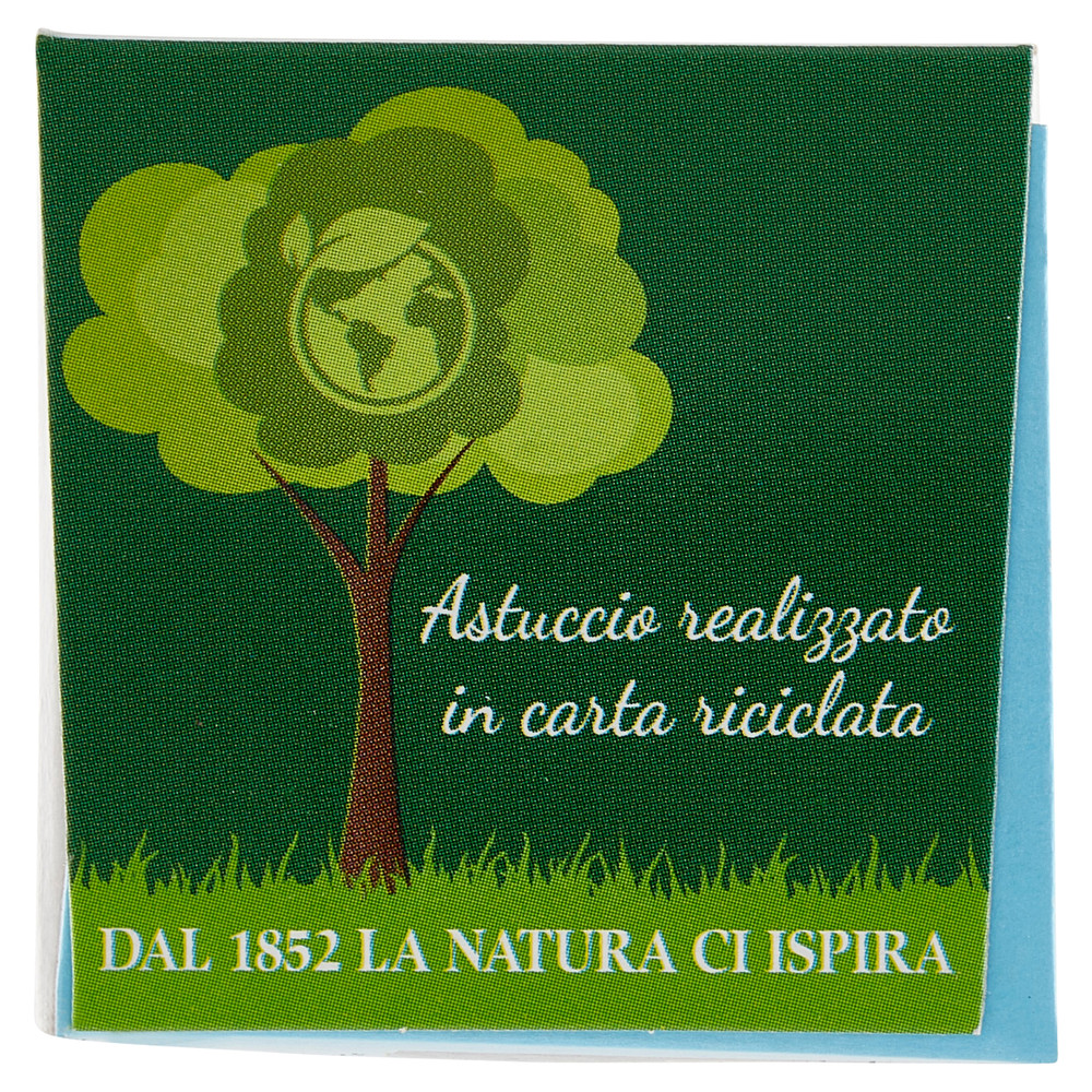 Salsa Tonnata 145g Biffi - Foto 2
