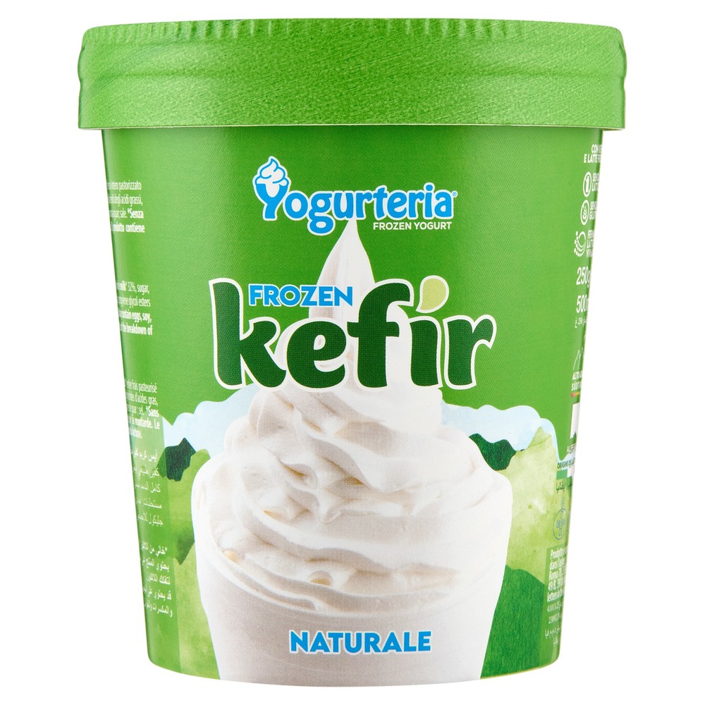 Gelato Yogurt Kefir Bianco Senza Lattosio Yogurteria Frozen - Foto 1