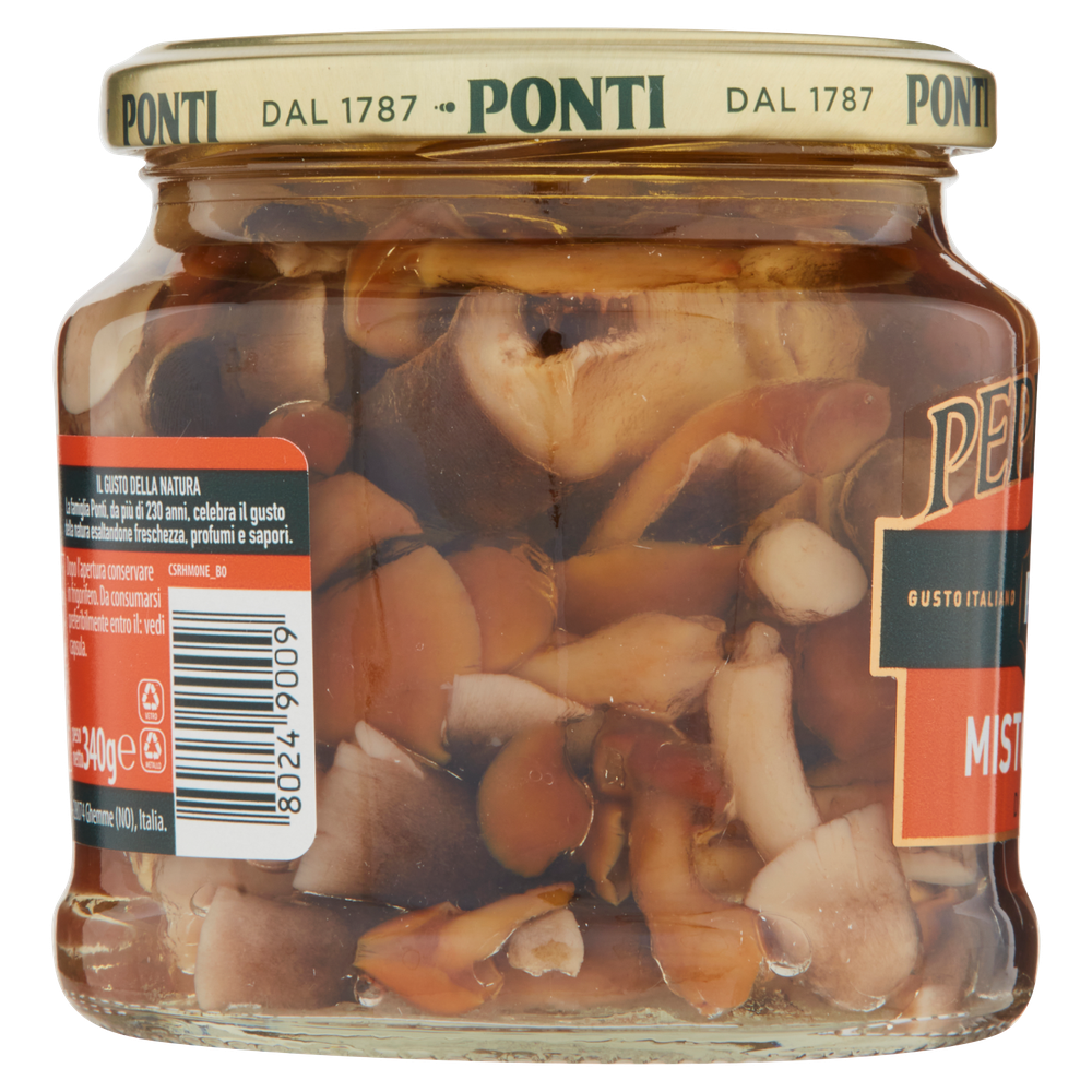 Mistoghiotto Di Funghi Sott'olio Peperlizia Ponti - Foto 2