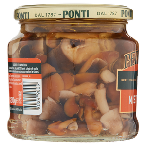 Mistoghiotto Di Funghi Sott'olio Peperlizia Ponti - Foto 2