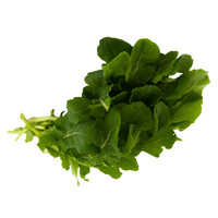 Insalata Rucola