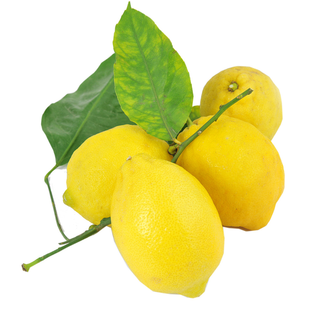 Limoni Foglia - Foto 1