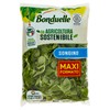 INSALATA SONGINO - Foto 1 di 3