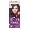 Palette Intensive Color Creme 4-89 Viola Profondo
