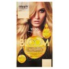 Colorazione 2in1 Dikson Biondo Extra