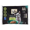 SHEBA KITTEN X4 - Foto 1 di 3