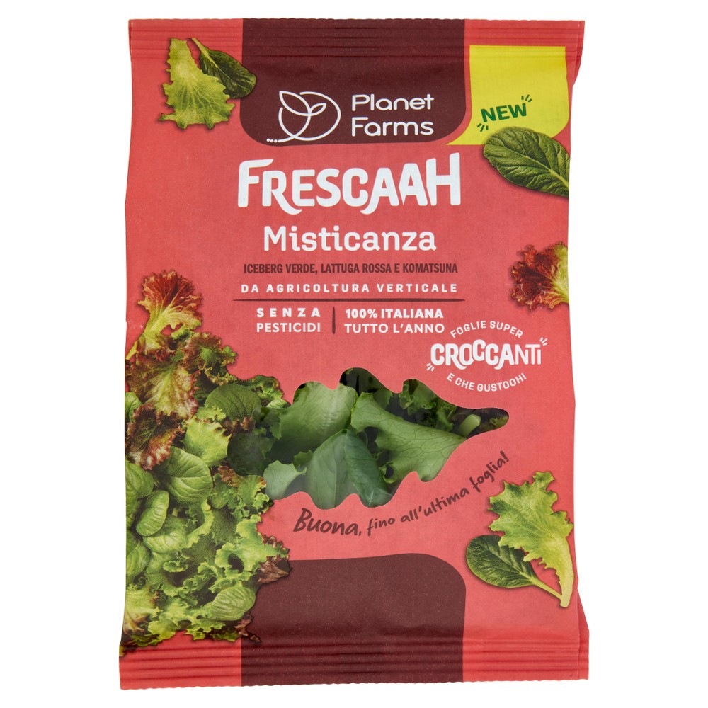 Misticanza Busta - Foto 1