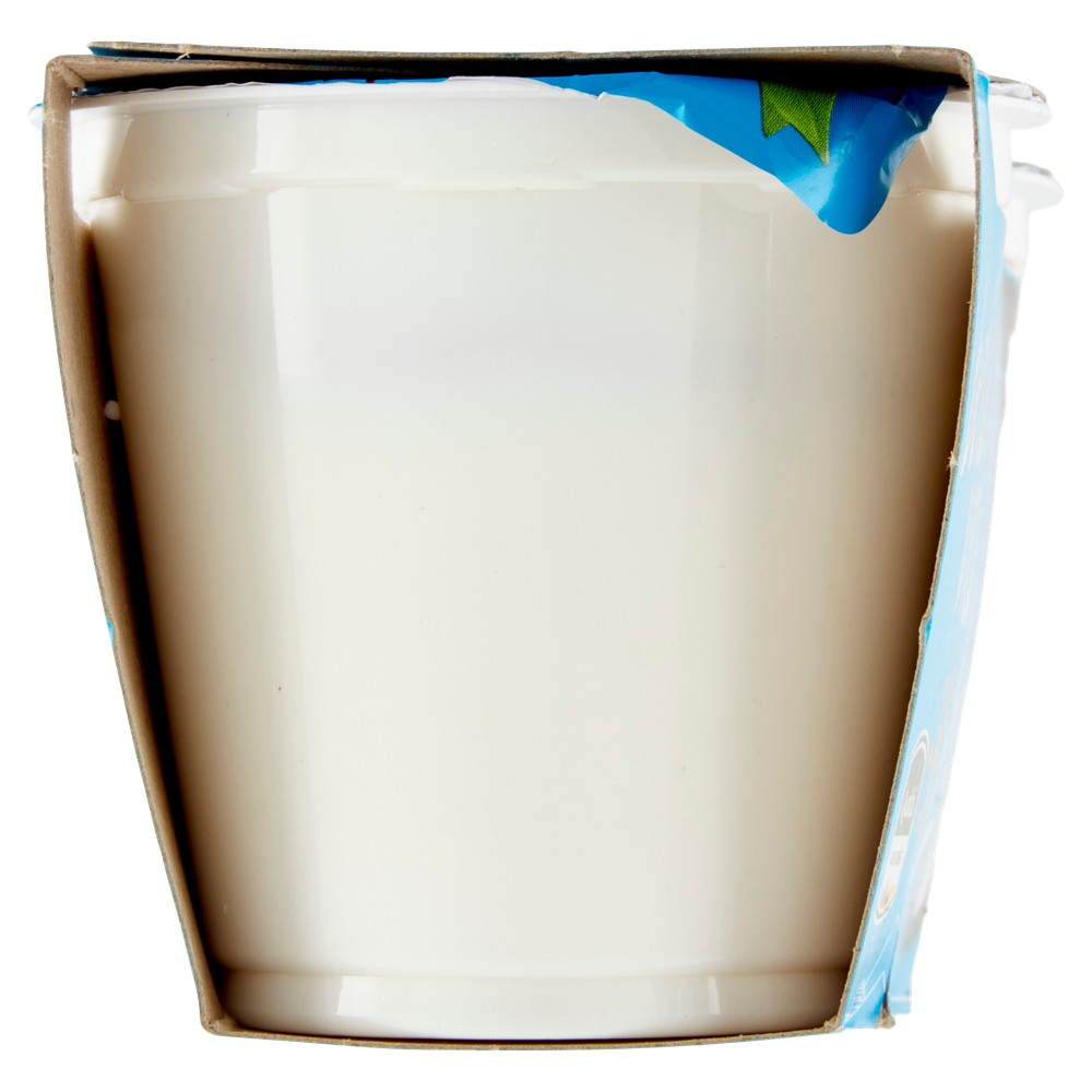 Yogurt Senza Lattosio Al Cocco Bella Vita 2 Da Gr.125 - Foto 2