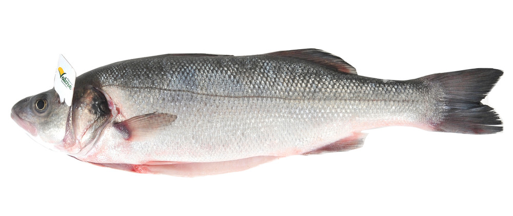 Branzino Eviscerato Filiera Valore Bennet - Foto 1