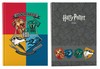 Diario Harry Potter