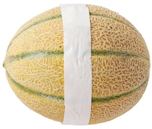 Melone Bennet Bio - Foto 2
