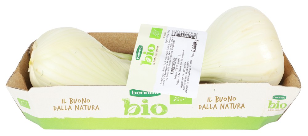 Finocchio Bennet Bio Vassoio - Foto 2