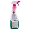 Detergente Wc Schiumattiva Con Candeggina Chanteclair