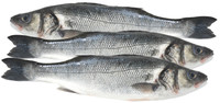 Branzino