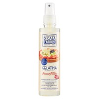 Gelatina Fresca Frutta Spray Fabbri Gelatina Fresca Frutta Spray Fabbri