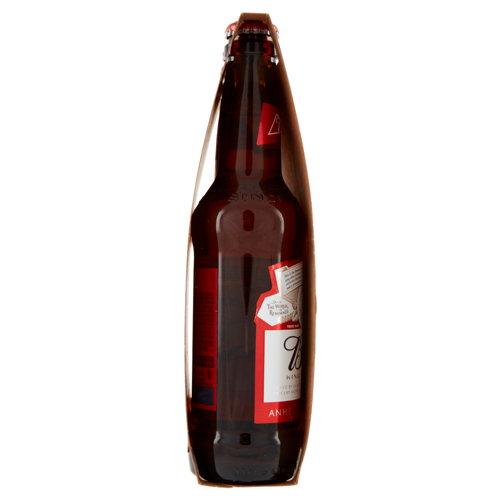 Birra Bottiglia 3x3cl Bud - Foto 2