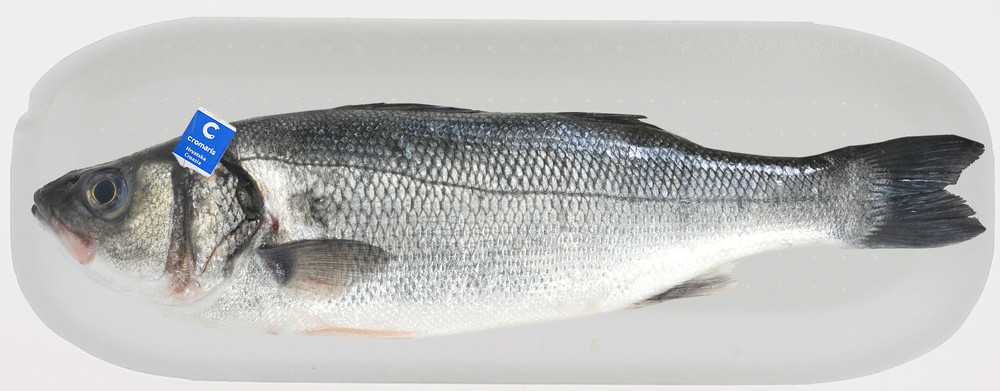 Branzino - Foto 2