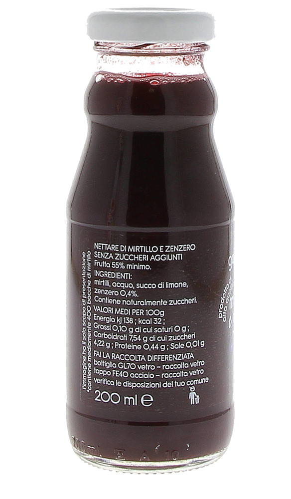 Nettare Mirtillo E Zenzero Senza Zucchero Gastroval - Foto 2
