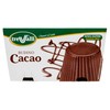 BUDINO CACAO TREVALLI - Foto 1 di 3
