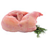 Coniglio